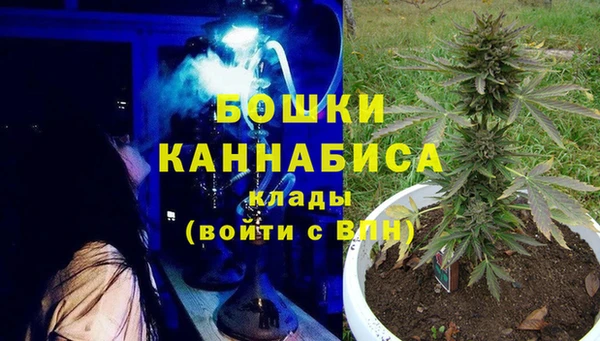 соль ск Вяземский
