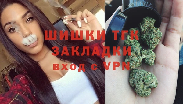 соль ск Вяземский