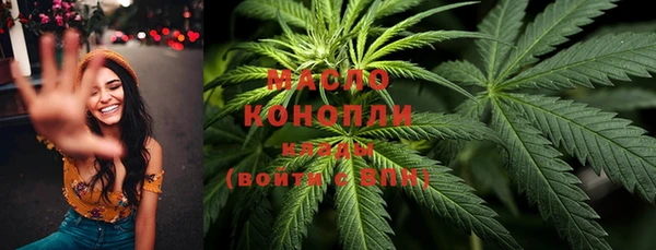 соль ск Вяземский
