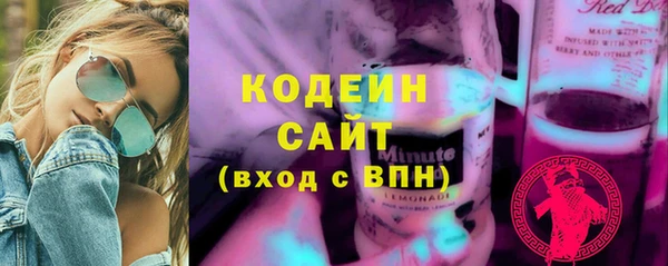 соль ск Вяземский